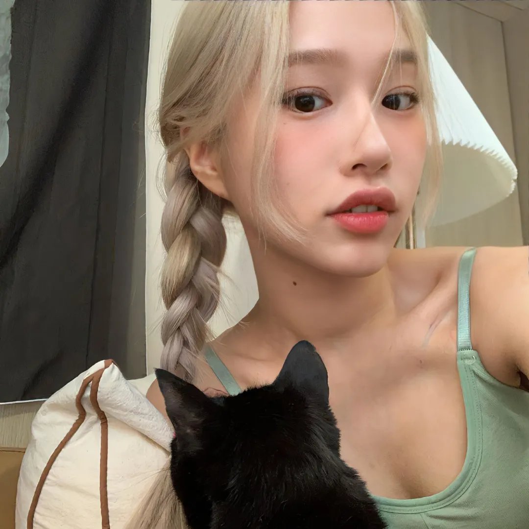 巴黎夜猫